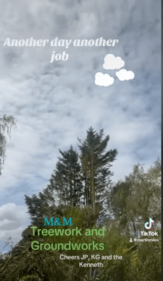 Tall trees viewed from below with sky and cloud emojis — captioned 'Another day another job · Cheers JP, KG and the Kenneth'.